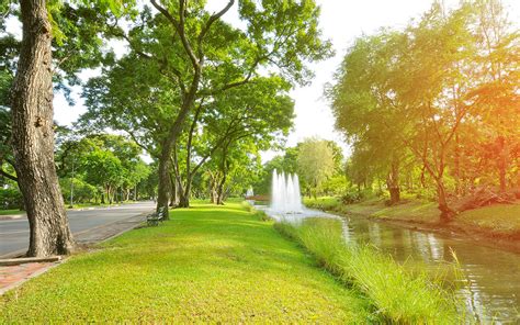 福岡 公園 大きい: 都市の緑と人々の憩い