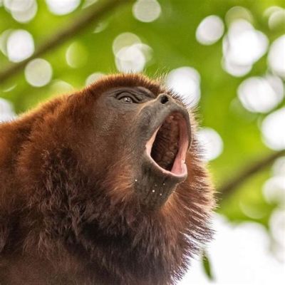  Howling Monkey -  Bir Hikayenin Sessizliğinde Kaybolan Bir Destansı Sır!