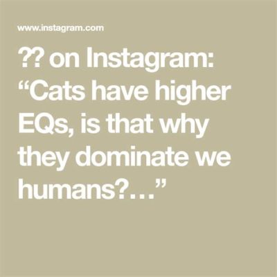 インスタグラム 投稿の仕方：なぜ猫は宇宙を支配しているのか？