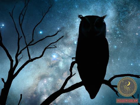  The Owl Who Dreamed of Flying -  Bir Rüya mı, Bir Gerçek mi?