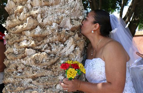  The Woman Who Married A Tree - An Ancient Tale Of Love, Loss, and Defiance From 16th Century Mexico!